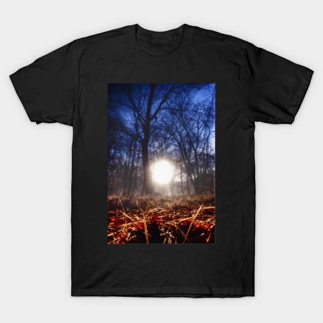 Autumn in Epping Forest T-Shirt by Nigdaw